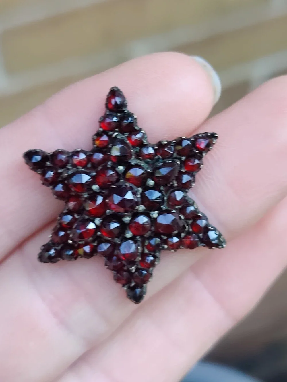 ⭐ Antique Bohemian Garnet Star Brooch
